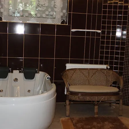 Palac Ogrodowa * Tarnowskie Góry