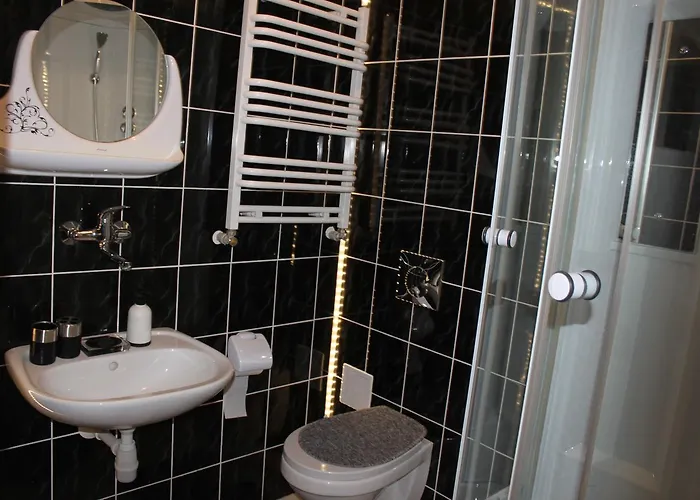 Palac Ogrodowa Tarnowskie Góry