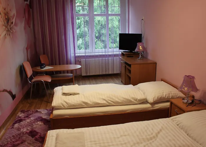 Palac Ogrodowa Tarnowskie Góry