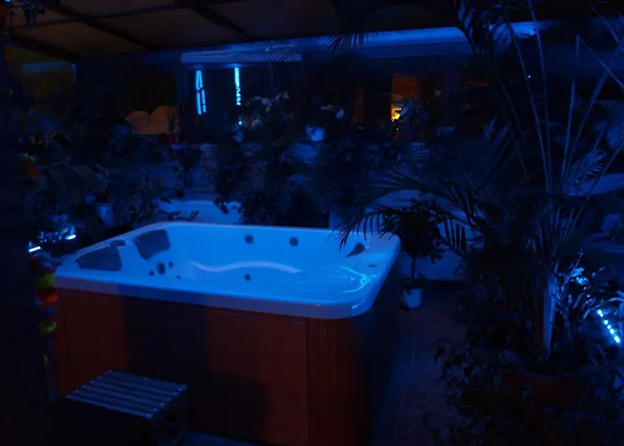 בית אירוח Palac Ogrodowa טרנובסקי גאורי